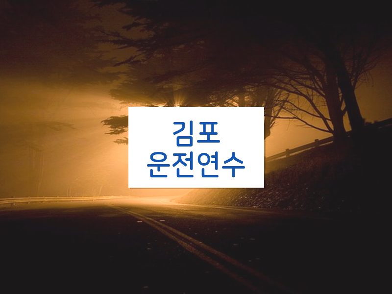 김포운전연수 후기