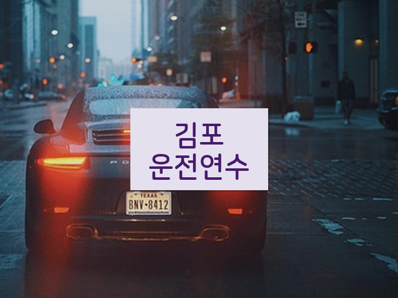 김포운전연수 후기