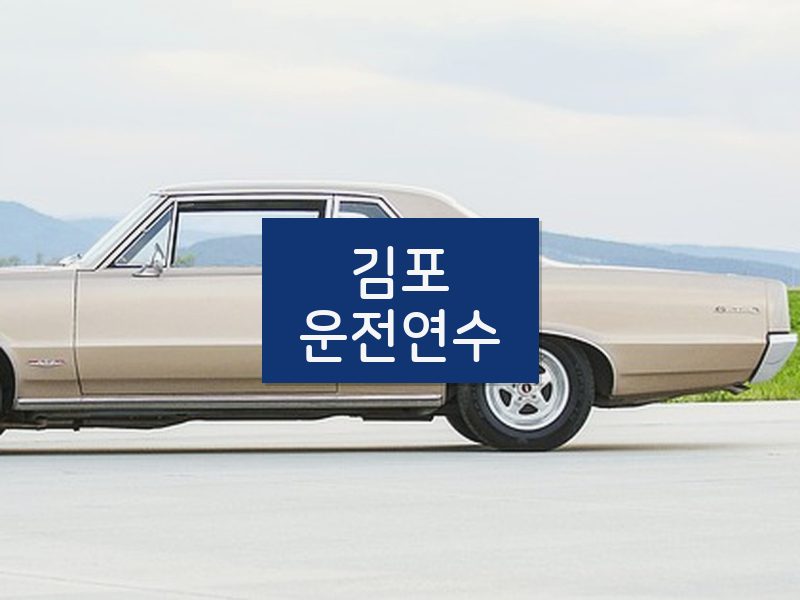 김포운전연수 후기