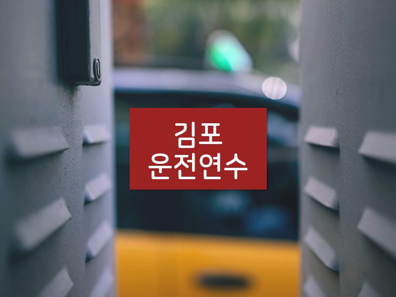 김포운전연수 후기