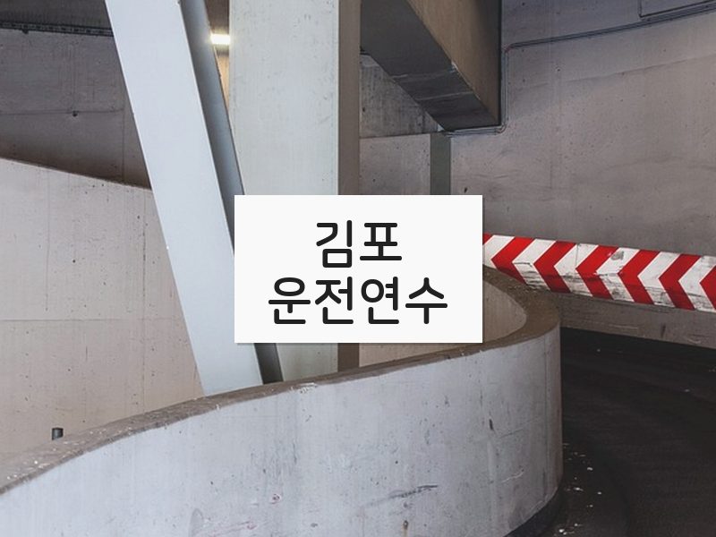 김포운전연수 후기