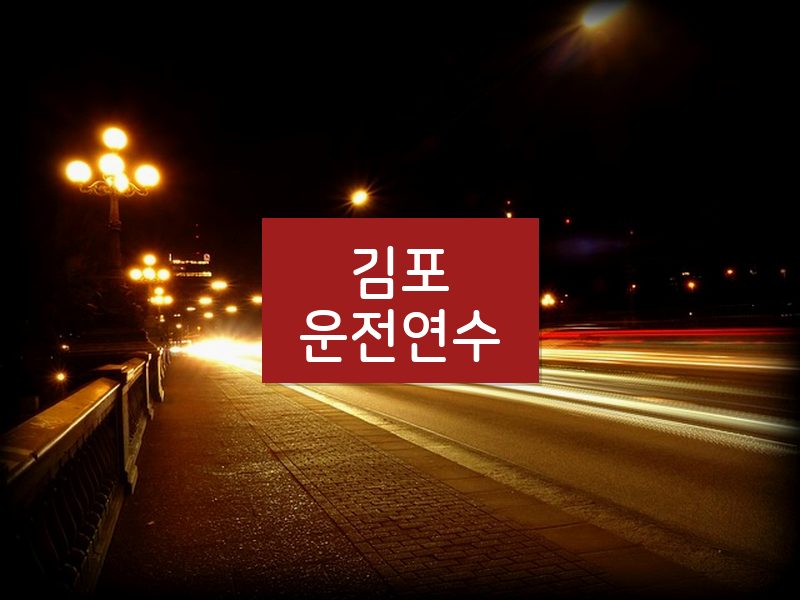 김포운전연수 후기