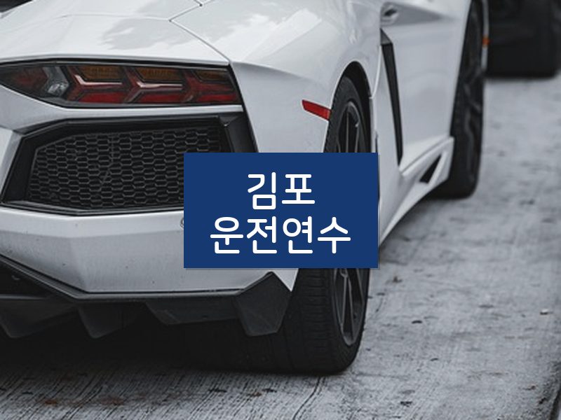김포운전연수 후기