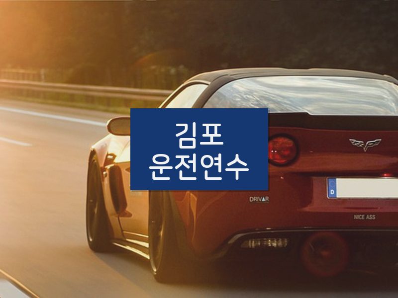 김포운전연수 후기