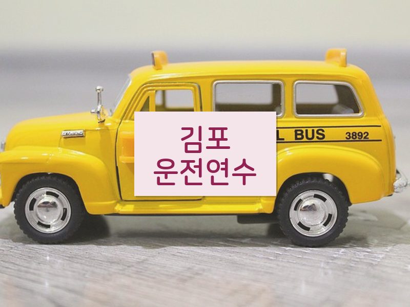 김포운전연수 후기