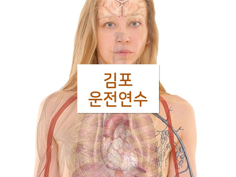 김포운전연수 후기