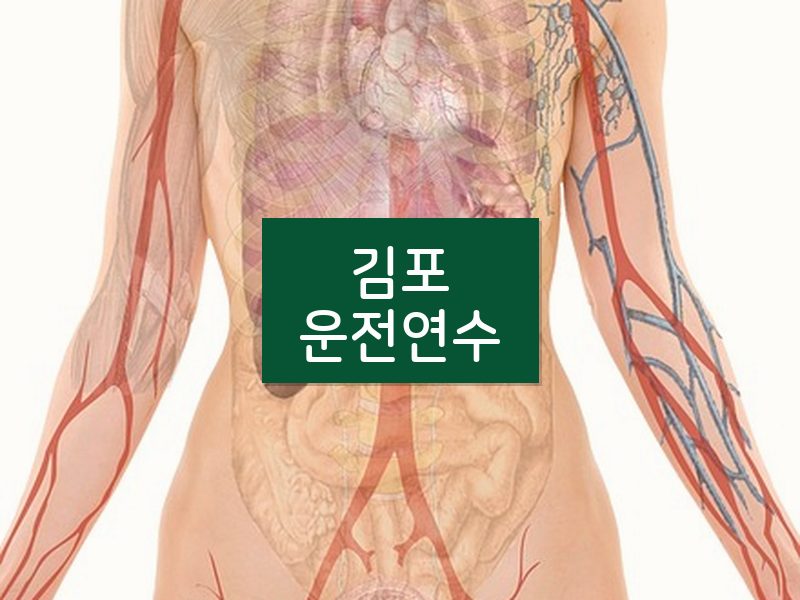 김포운전연수 후기
