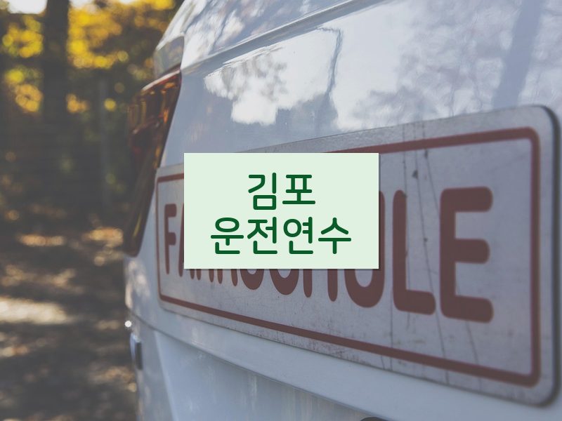 김포운전연수 후기