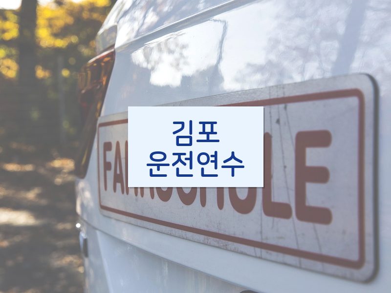 김포운전연수 후기