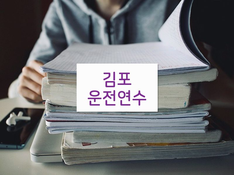김포운전연수 후기