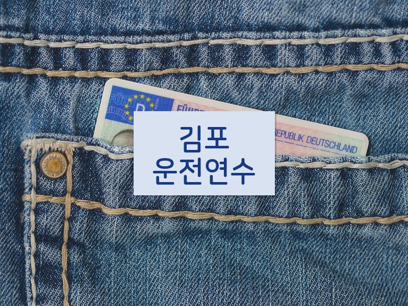 김포운전연수 후기