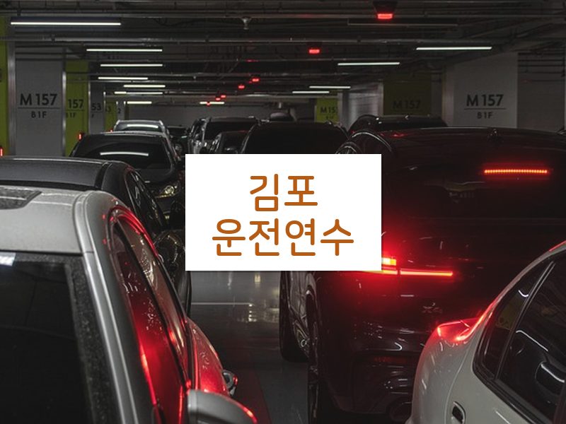 김포운전연수 후기
