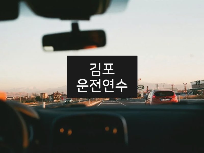 김포운전연수 후기