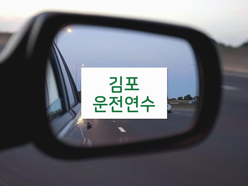 김포운전연수 후기