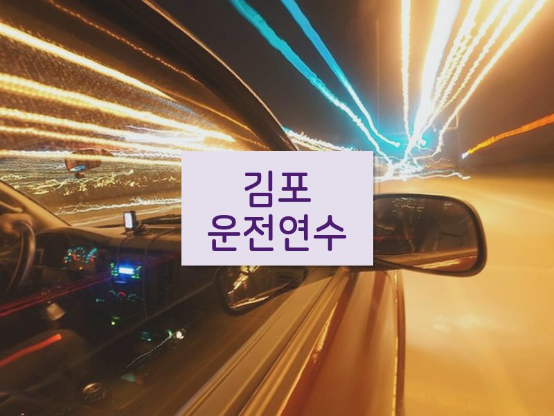 김포운전연수 후기