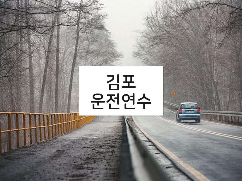 김포운전연수 후기