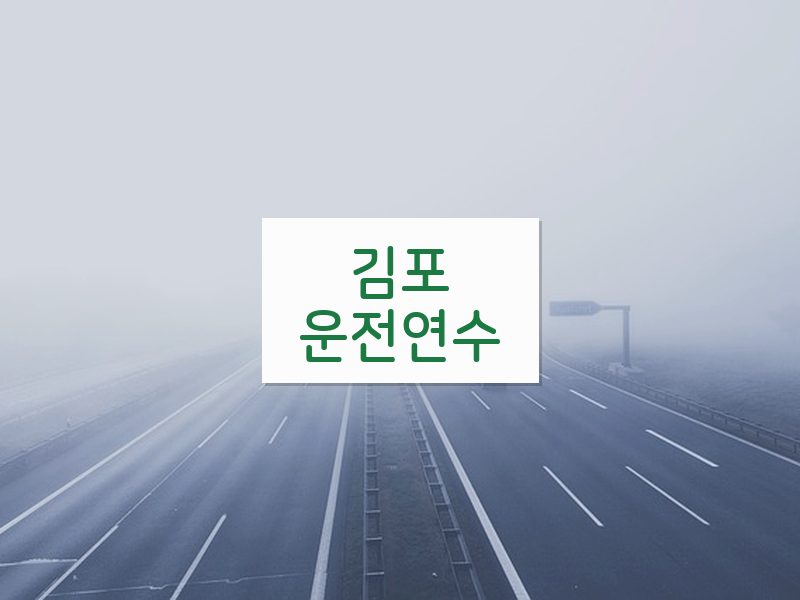 김포운전연수 후기