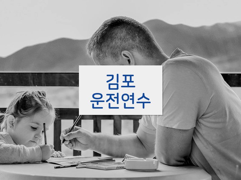 김포운전연수 후기