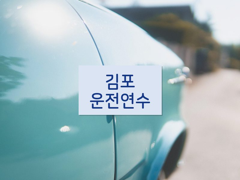 김포운전연수 후기