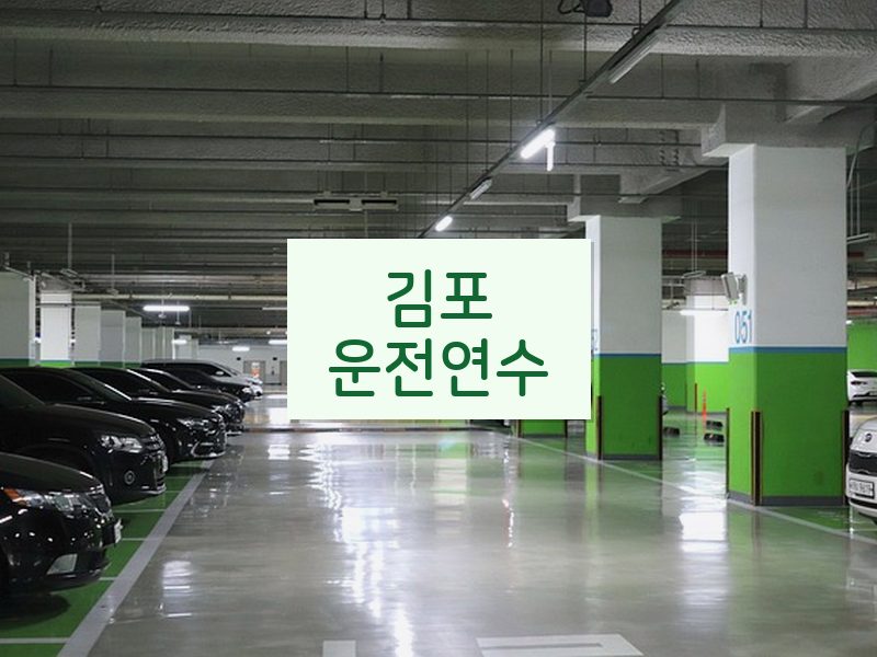 김포운전연수 후기