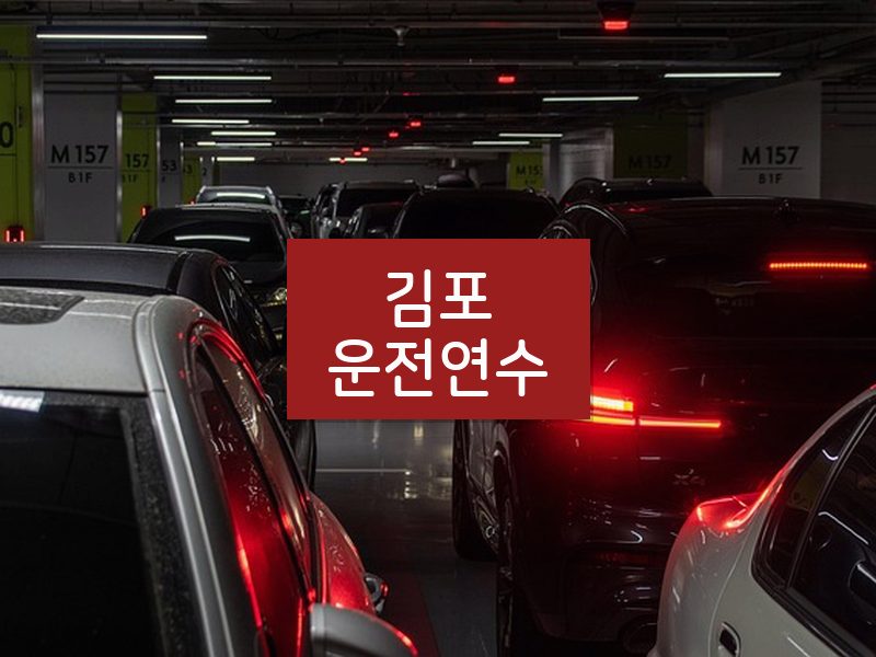 김포운전연수 후기