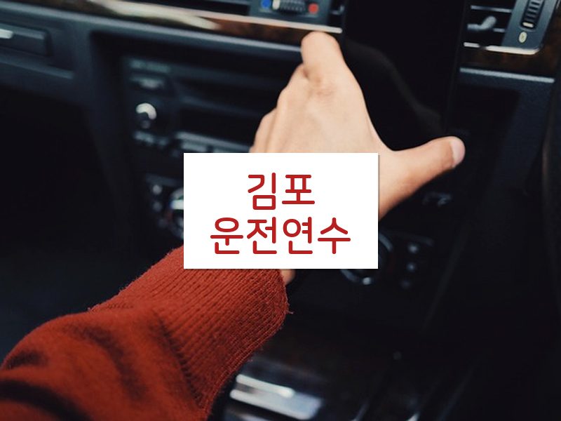 김포운전연수 후기
