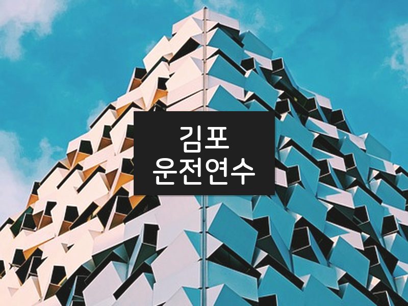 김포운전연수 후기