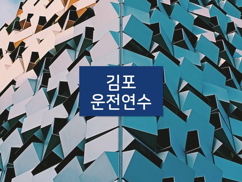 김포운전연수 후기