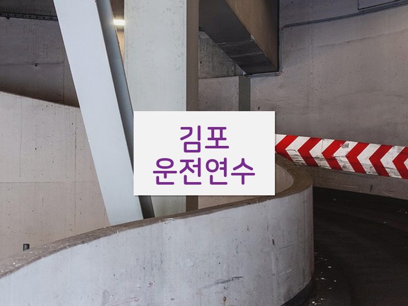 김포운전연수 후기