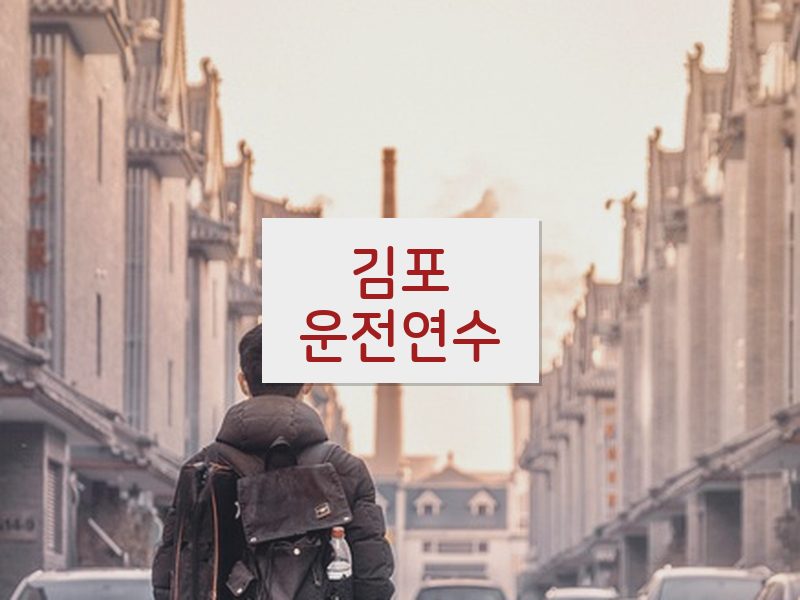 김포운전연수 후기