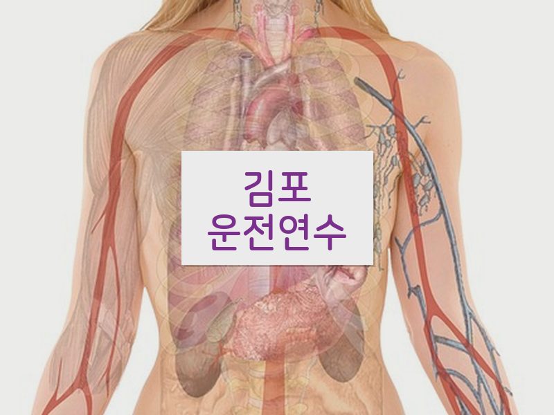 김포운전연수 후기