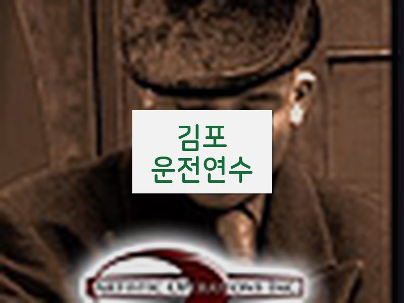 김포운전연수 후기