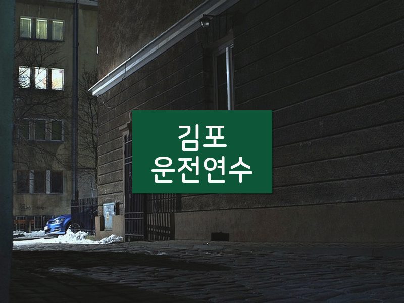 김포운전연수 후기