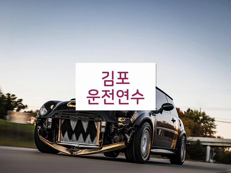 김포운전연수 후기
