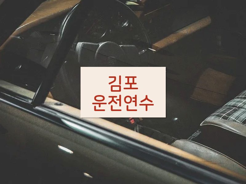 김포운전연수 후기