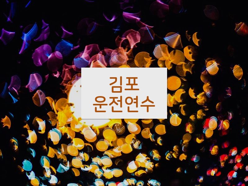 김포운전연수 후기