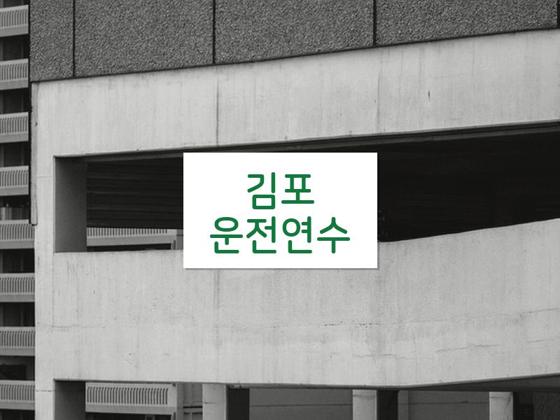 김포운전연수 후기