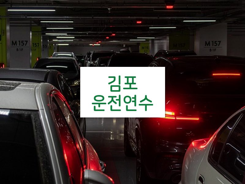 김포운전연수 후기