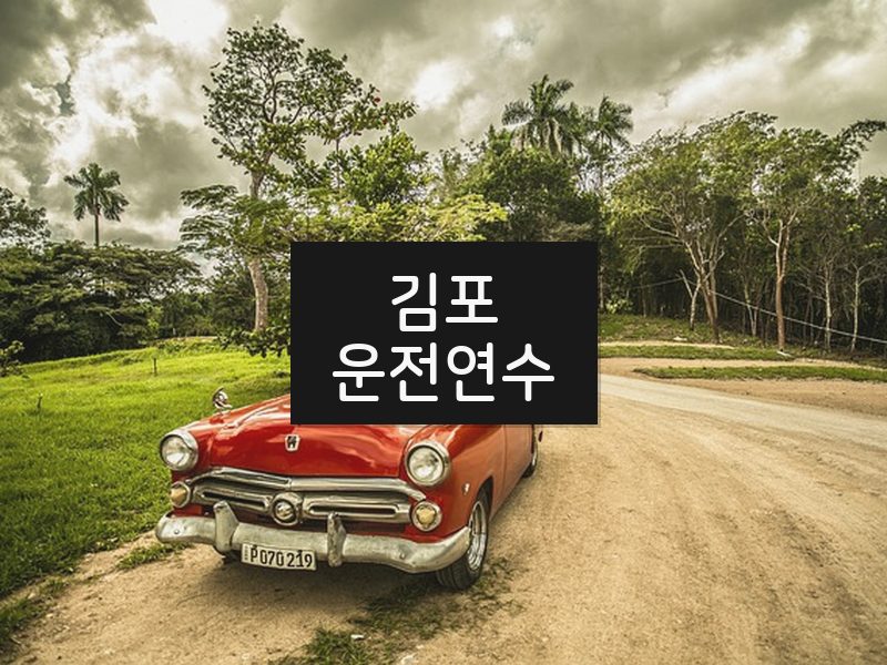 김포운전연수 후기