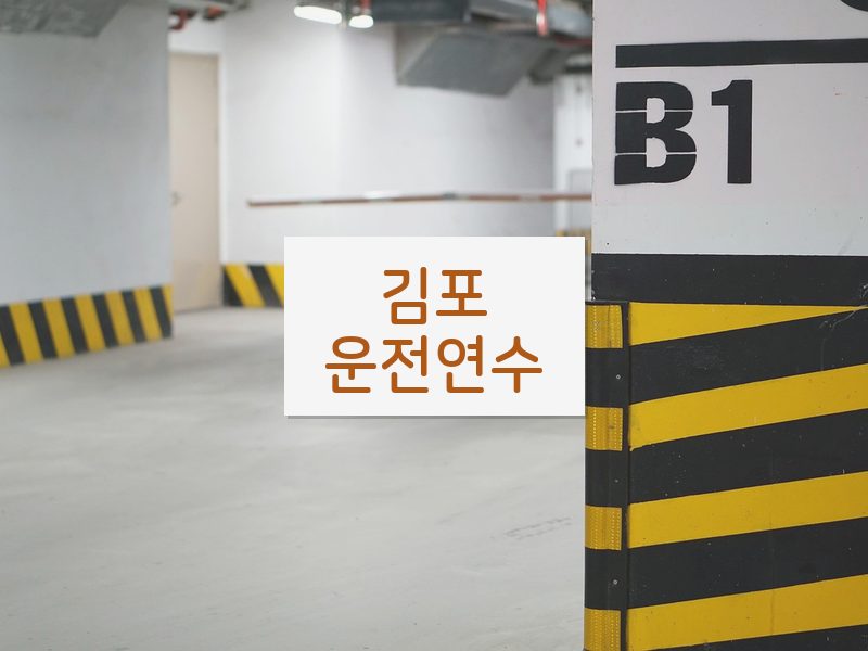 김포운전연수 후기