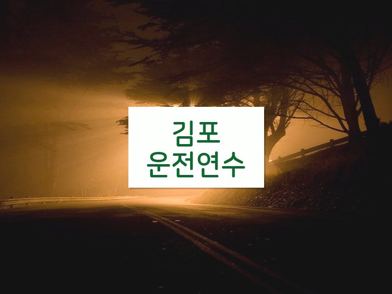 김포운전연수 후기