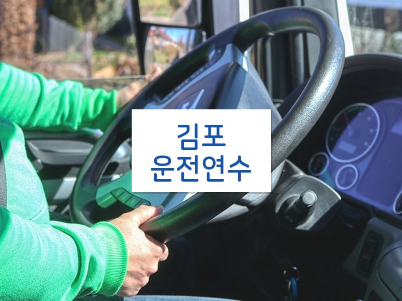 김포운전연수 후기