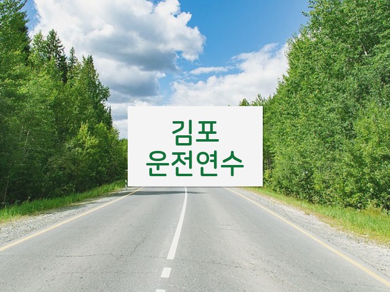 김포운전연수 후기