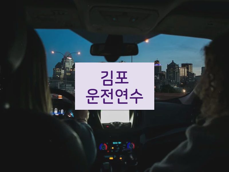 김포운전연수 후기