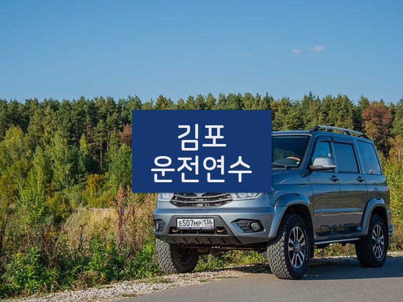 김포운전연수 후기