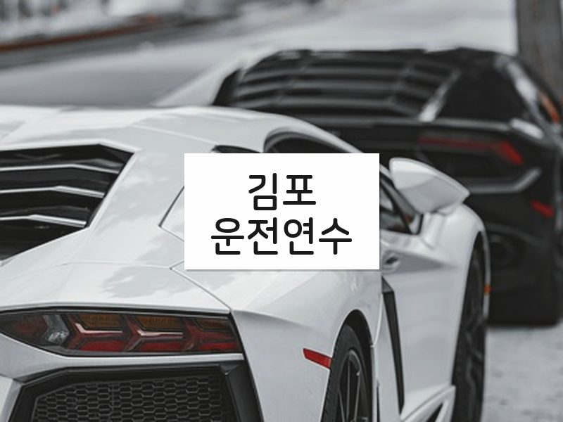 김포운전연수 후기