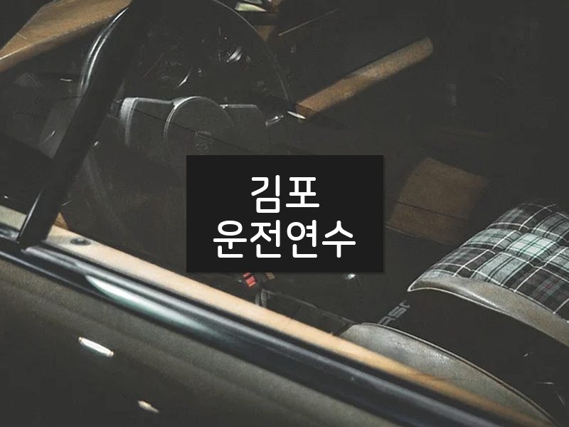 김포운전연수 후기