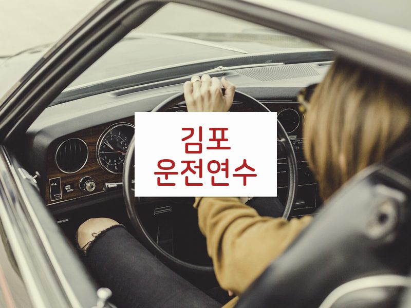 김포운전연수 후기