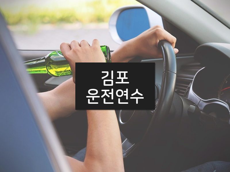 김포운전연수 후기