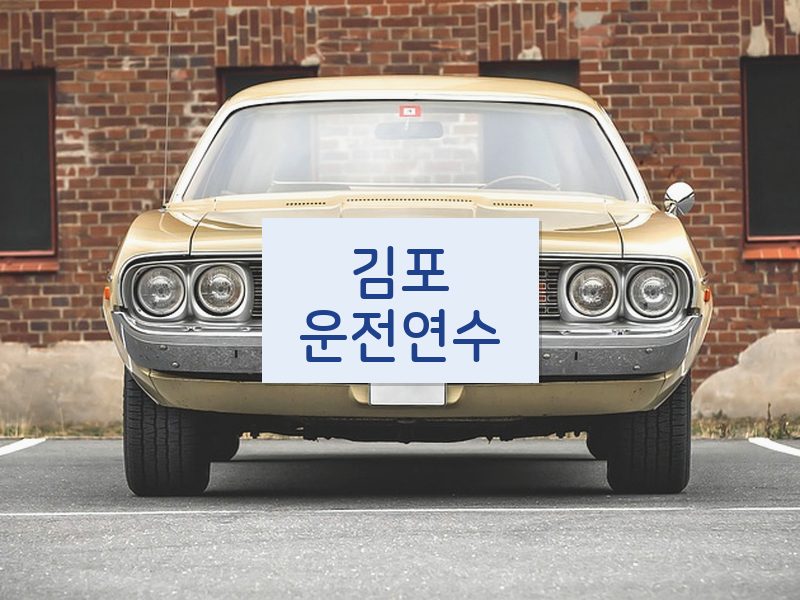 김포운전연수 후기